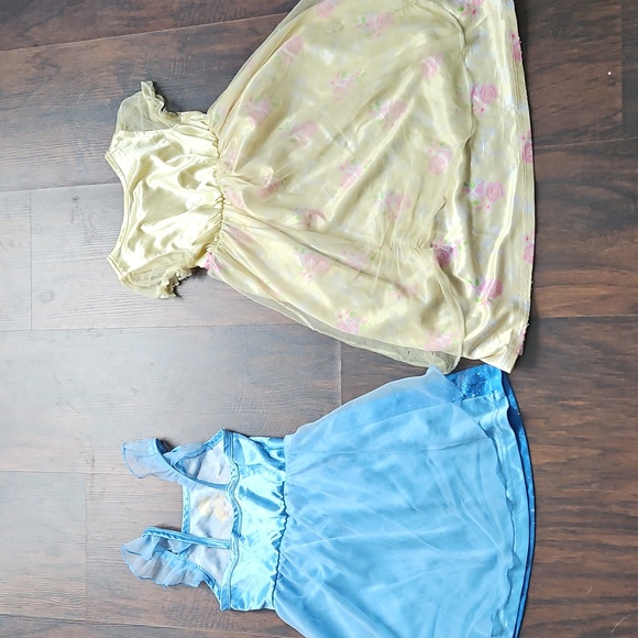 Blue and Gold Princess Dresses - Picture 5 of 7